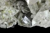 Quartz, Anatase and Adularia Crystal - Hardangervidda, Norway #126340-3